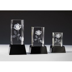 BLOC CRISTAL LASER 3D