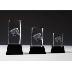 BLOC CRISTAL LASER 3D