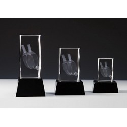 BLOC CRISTAL LASER 3D