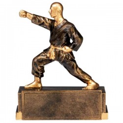 FIGURINE KARATE