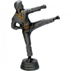 FIGURINE KARATE