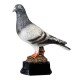 FIGURINE PIGEON