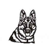 chiens 